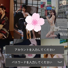 ピンクの楽園 Red Rose